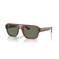 RAY-BAN RB4397 - 667882 CORRIGAN