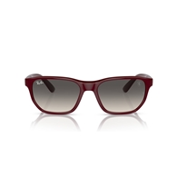 RAY-BAN RB4404M - F68511