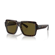 RAY-BAN RB4408 - 135973 MAGELLAN
