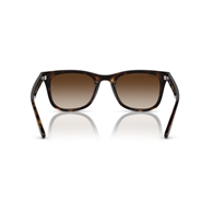 RAY-BAN RB4420 - 710/13