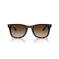 RAY-BAN RB4420 - 710/13