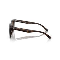 RAY-BAN RB4420 - 710/13
