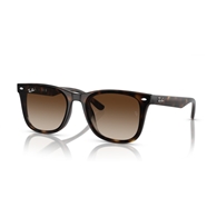 RAY-BAN RB4420 - 710/13