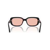 RAY-BAN RB4421D - 667784