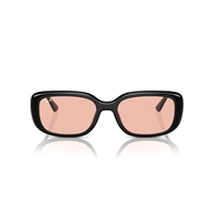 RAY-BAN RB4421D - 667784