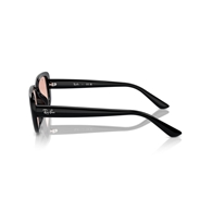 RAY-BAN RB4421D - 667784