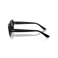 RAY-BAN RB4421D - 667787