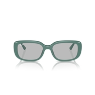 RAY-BAN RB4421D - 676287
