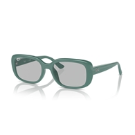 RAY-BAN RB4421D - 676287