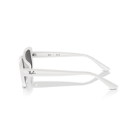 RAY-BAN RB4421D - 677287