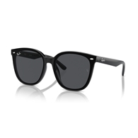 RAY-BAN RB4423D - 601/87