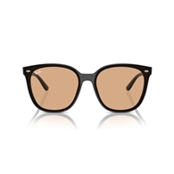 RAY-BAN RB4423D - 601/93