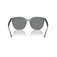 RAY-BAN RB4423D - 645087