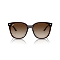 RAY-BAN RB4423D - 714/13