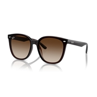 RAY-BAN RB4423D - 714/13