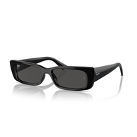 RAY-BAN RB4425 - 667787 TERU