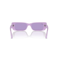 RAY-BAN RB4425 - 67581A TERU