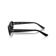 RAY-BAN RB4436D - 667787
