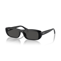 RAY-BAN RB4436D - 667787