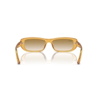 RAY-BAN RB4436D - 668213