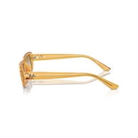 RAY-BAN RB4436D - 668213