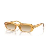 RAY-BAN RB4436D - 668213