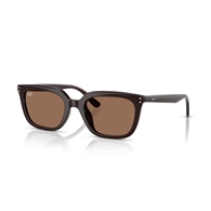 RAY-BAN RB4439D - 623173