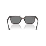 RAY-BAN RB4439D - 667587