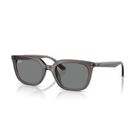 RAY-BAN RB4439D - 667587