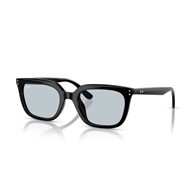 RAY-BAN RB4439D - 901/72