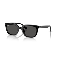RAY-BAN RB4439D - 901/87