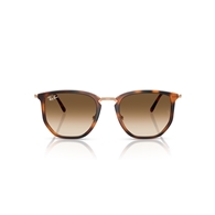 RAY-BAN RB4451 - 680451