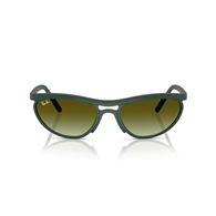 RAY-BAN RB4453 - 6016E8