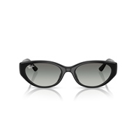 RAY-BAN RB4457D - 667711