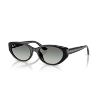 RAY-BAN RB4457D - 667711