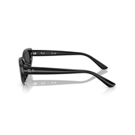RAY-BAN RB4457D - 667787