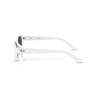 RAY-BAN RB4457D - 677287