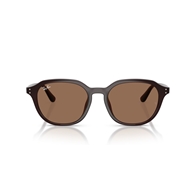 RAY-BAN RB4459D - 623173