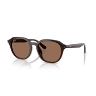 RAY-BAN RB4459D - 623173