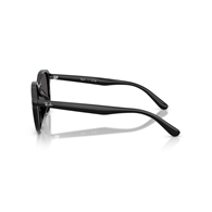 RAY-BAN RB4459D - 901/87