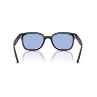 RAY-BAN RB4461D - 601/80