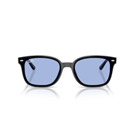 RAY-BAN RB4461D - 601/80