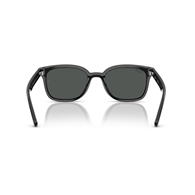 RAY-BAN RB4461D - 601/87