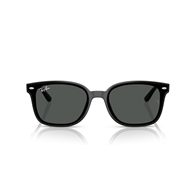 RAY-BAN RB4461D - 601/87