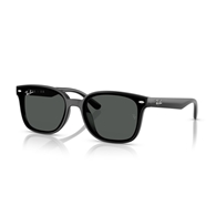 RAY-BAN RB4461D - 601/87