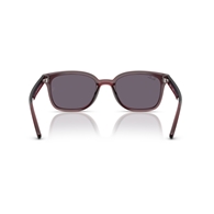 RAY-BAN RB4461D - 659373