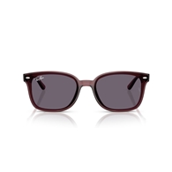 RAY-BAN RB4461D - 659373
