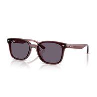 RAY-BAN RB4461D - 659373