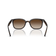 RAY-BAN RB4461D - 710/13