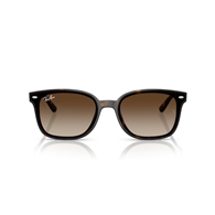 RAY-BAN RB4461D - 710/13